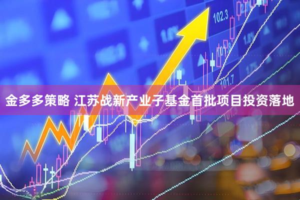 金多多策略 江苏战新产业子基金首批项目投资落地