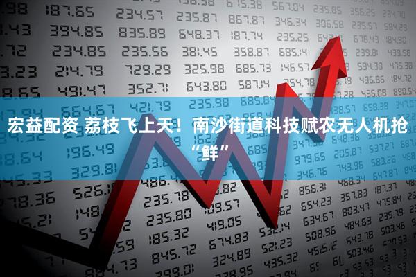 宏益配资 荔枝飞上天！南沙街道科技赋农无人机抢“鲜”