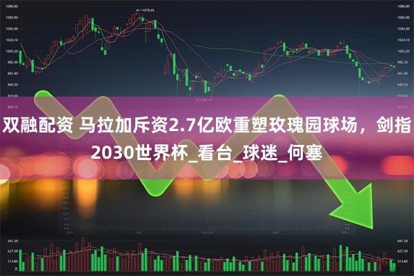 双融配资 马拉加斥资2.7亿欧重塑玫瑰园球场，剑指2030世界杯_看台_球迷_何塞
