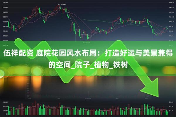 伍祥配资 庭院花园风水布局：打造好运与美景兼得的空间_院子_植物_铁树