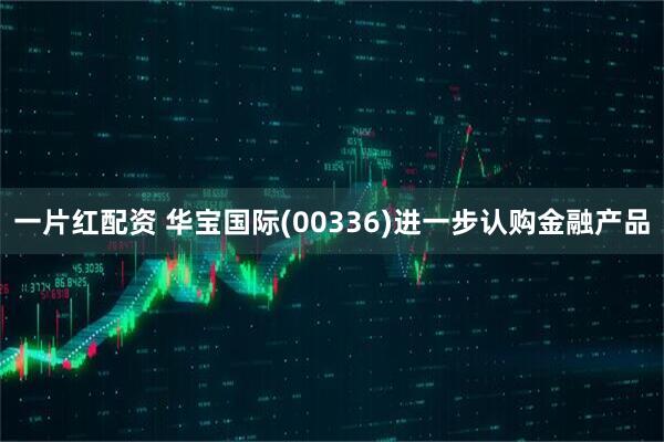 一片红配资 华宝国际(00336)进一步认购金融产品