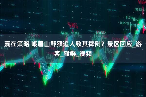 赢在策略 峨眉山野猴追人致其摔倒？景区回应_游客_猴群_视频