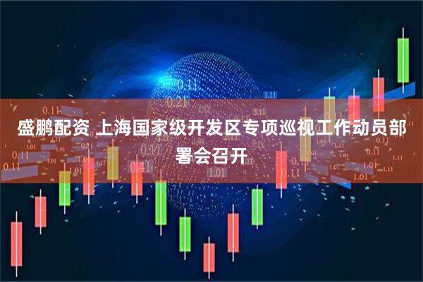 盛鹏配资 上海国家级开发区专项巡视工作动员部署会召开