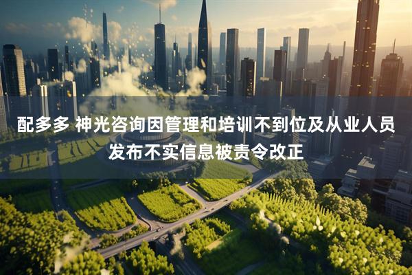 配多多 神光咨询因管理和培训不到位及从业人员发布不实信息被责令改正