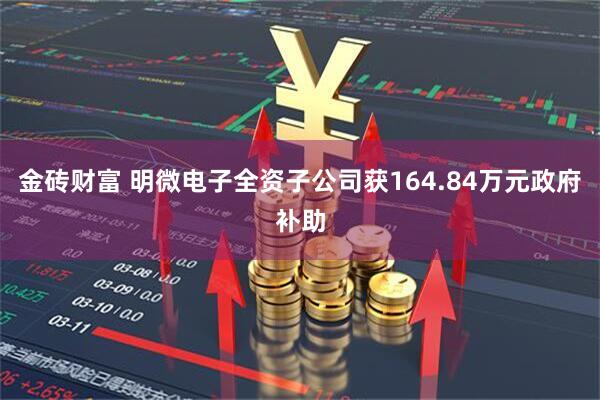 金砖财富 明微电子全资子公司获164.84万元政府补助