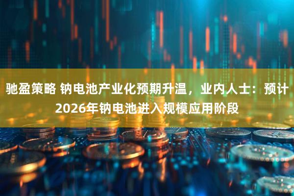 驰盈策略 钠电池产业化预期升温，业内人士：预计2026年钠电池进入规模应用阶段